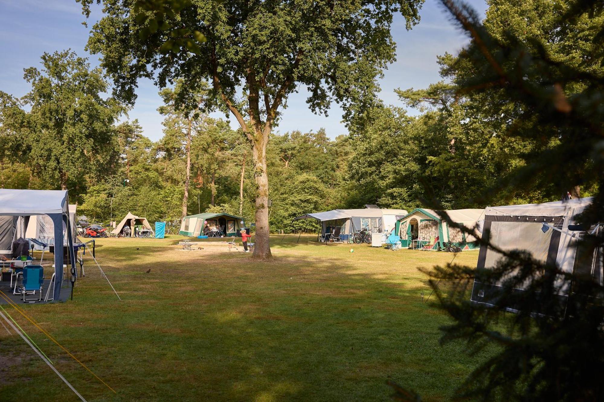 Rcn Vakantiepark De Noordster 德文格洛 外观 照片